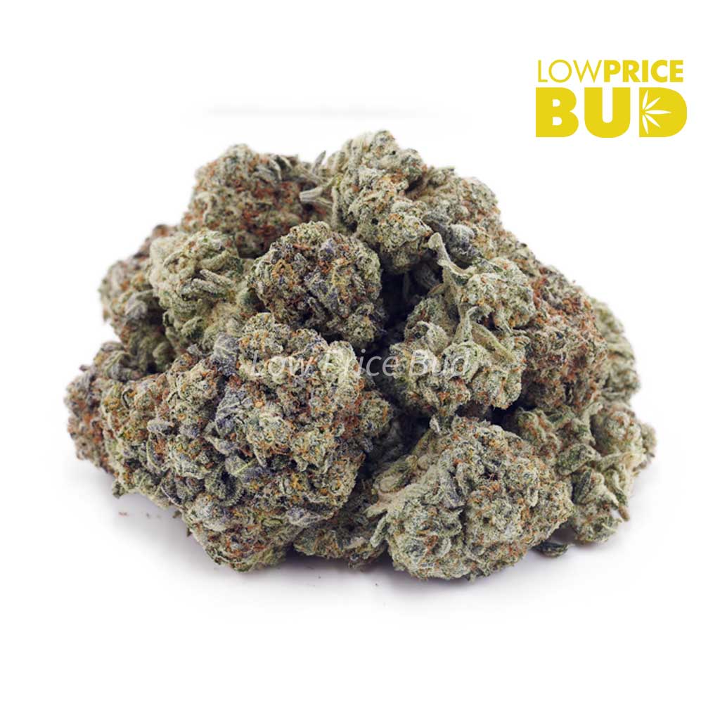 Buy Blue Dream (AAA) online Canada