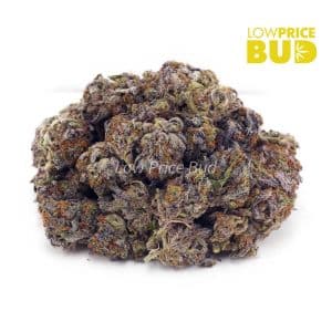 Buy Purple Haze (AAAA) online Canada
