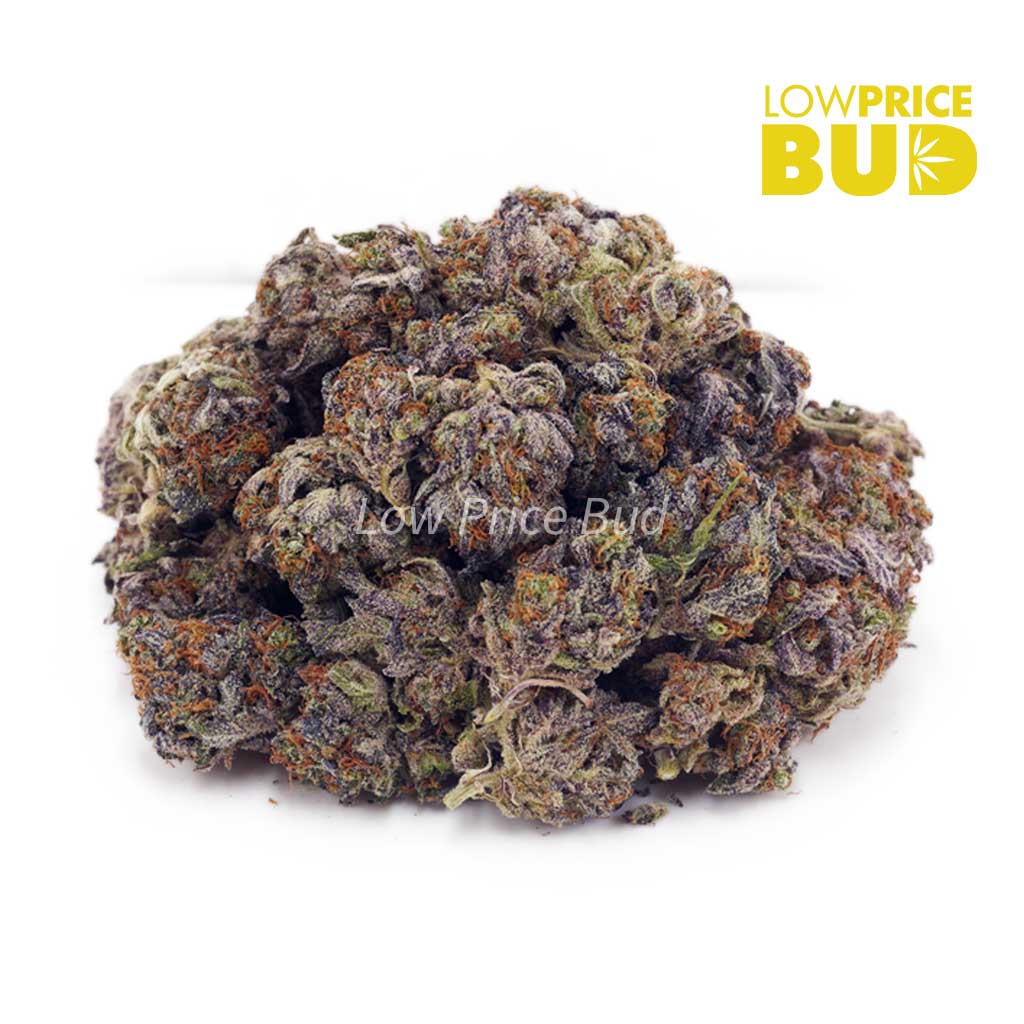 Buy Purple Haze (AAAA) online Canada