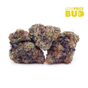 Buy Miracle Alien Cookies (Craft Cannabis) online Canada