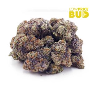 Buy Miracle Alien Cookies (Craft Cannabis) online Canada