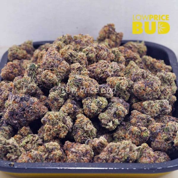Buy Miracle Alien Cookies (Craft Cannabis) online Canada
