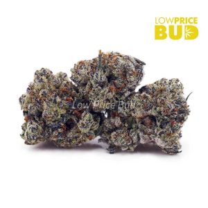 Buy Donkey Breath (Craft Cannabis) online Canada
