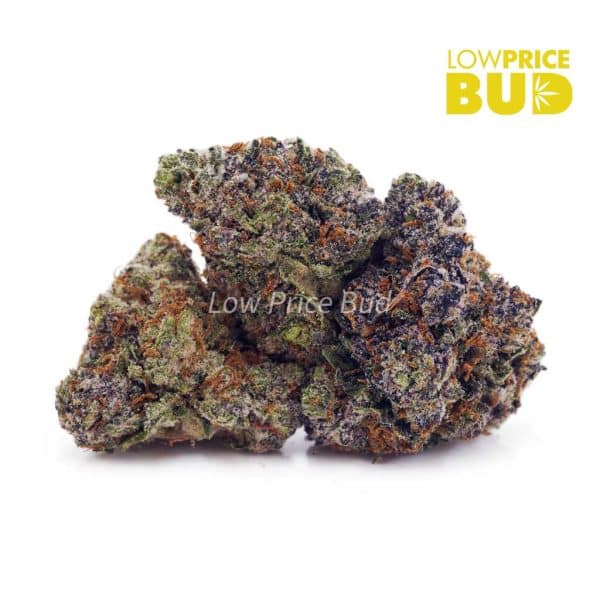Buy Purple Candy (AAAA) online Canada
