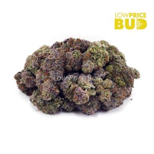 Buy Purple Candy (AAAA) online Canada