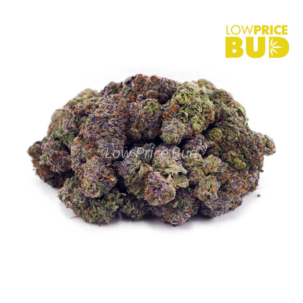 Buy Purple Candy (AAAA) online Canada