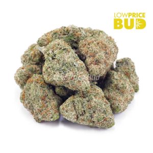 Buy Frosted Fruit Cake (Craft Cannabis) online Canada