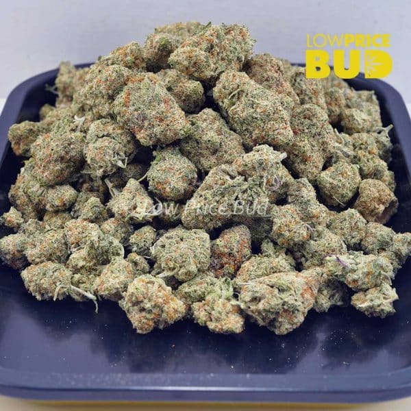 Buy Frosted Fruit Cake (Craft Cannabis) online Canada