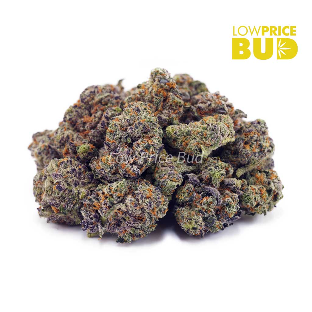 Buy Snoop Dog OG (AAAA) online Canada