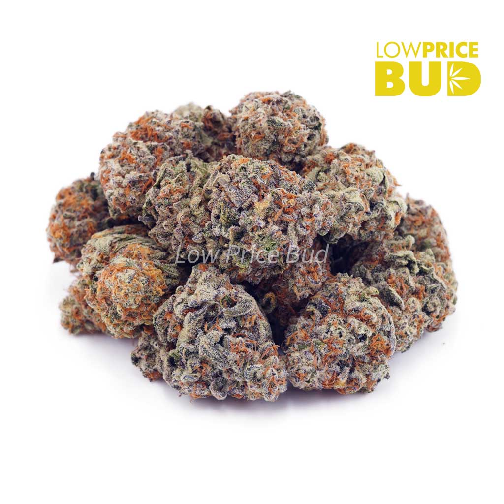 Buy Forum Cut Cookies (AA) online Canada