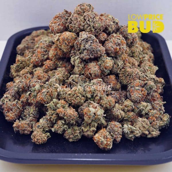 Buy Forum Cut Cookies (AA) online Canada