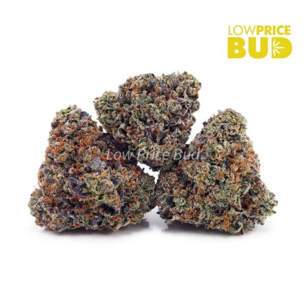 Buy Purple Biscotti (AAAA) online Canada