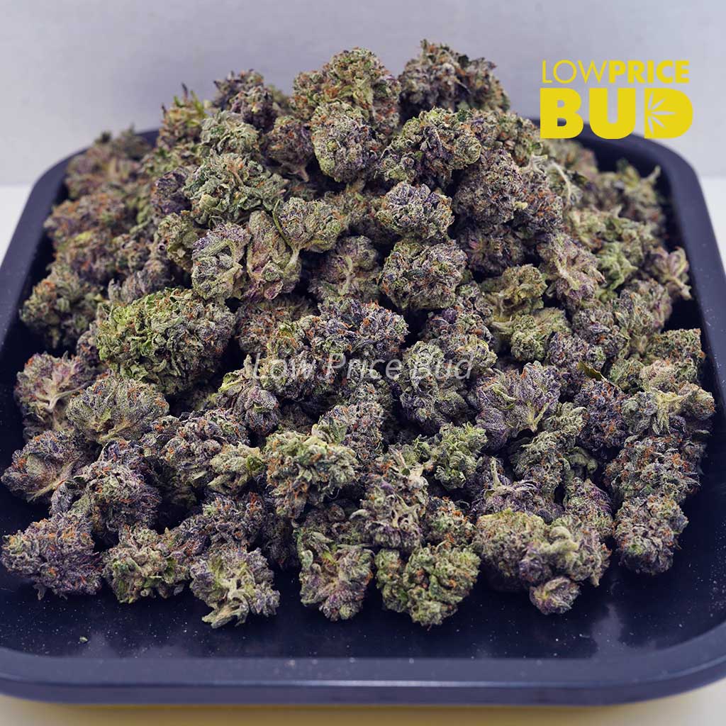 Buy Skywalker OG (AAAA) – Popcorn Nugs online Canada