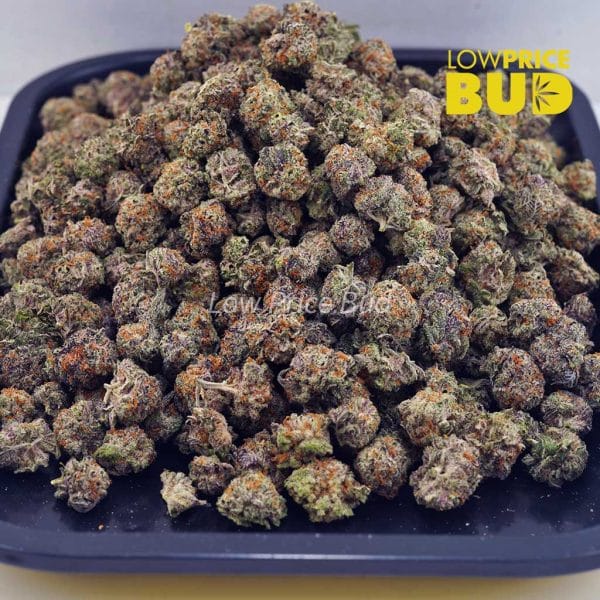 Buy Blueberry Bomb (AAAA) – Popcorn Nugs online Canada