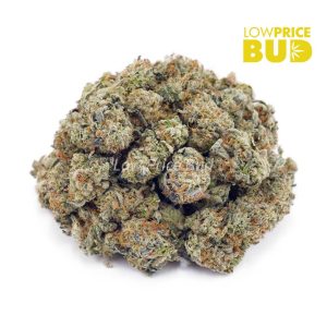 Buy Mendo Cookies (AAAA) – Popcorn Nugs online Canada