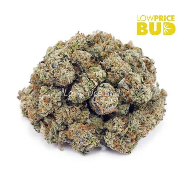 Buy Mendo Cookies (AAAA) – Popcorn Nugs online Canada
