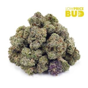 Buy Lychee Punch (AAAA) – Popcorn Nugs online Canada