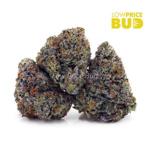 Buy Hawaiian Pink Punch (Craft Cannabis) online Canada