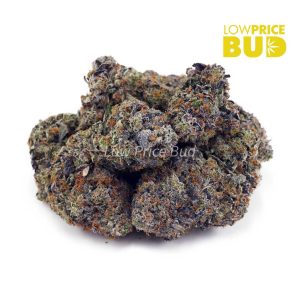 Buy Hawaiian Pink Punch (Craft Cannabis) online Canada