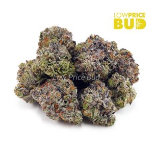 Buy Tom Ford Pink Kush (Craft Cannabis) online Canada