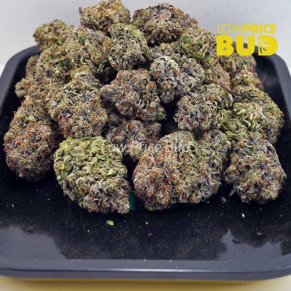 Buy Tom Ford Pink Kush (Craft Cannabis) online Canada