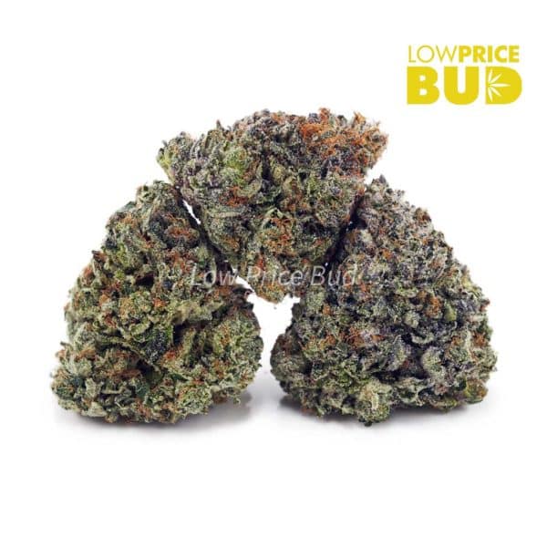 Buy Pink Gas Mask (Craft Cannabis) online Canada