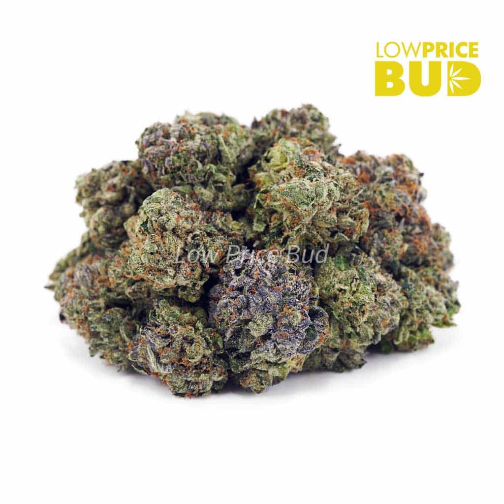 Buy Pink Gas Mask (Craft Cannabis) online Canada