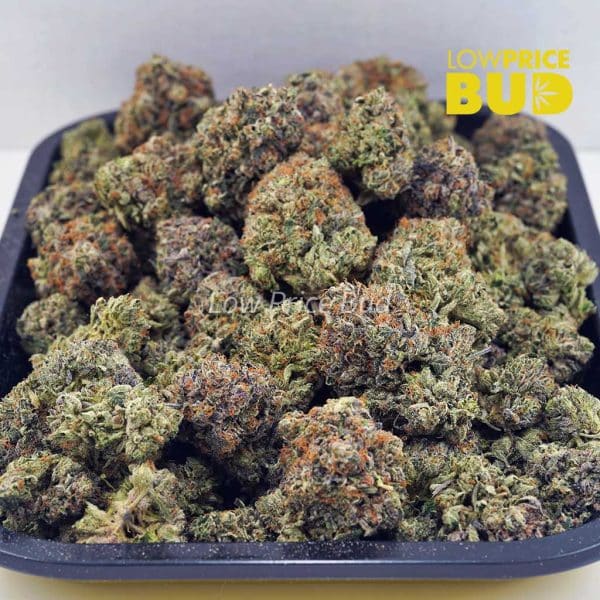 Buy Pink Gas Mask (Craft Cannabis) online Canada