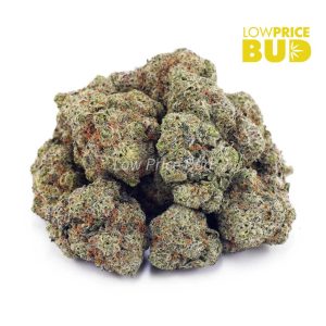 Buy LA Kush Cake (AAAA) online Canada