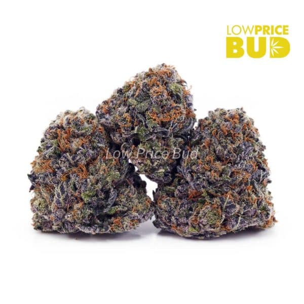 Buy Grape Ape (AAAA) online Canada