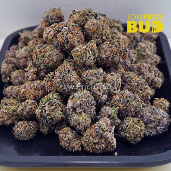 Buy Grape Ape (AAAA) online Canada