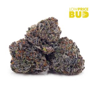 Buy Build Your Own 7g online Canada