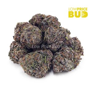 Buy Granddaddy Purple (AAAA) online Canada