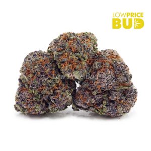 Buy Build Your Own 7g online Canada