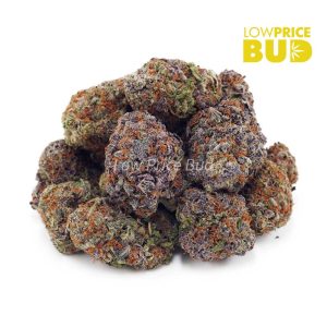 Buy Gods’s Green Crack (AAAA) online Canada