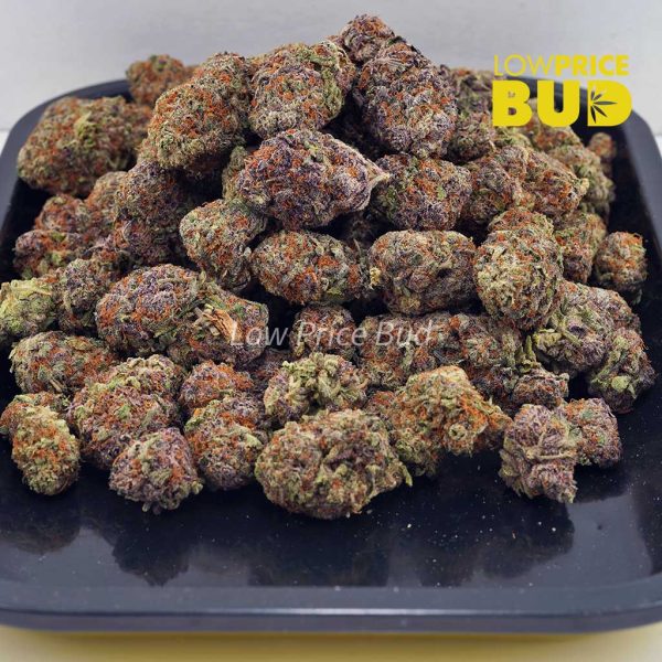 Buy Gods’s Green Crack (AAAA) online Canada