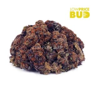 Buy Lindsay OG (AAA) online Canada