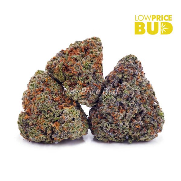 Buy Juicy Fruit (AAAA) online Canada