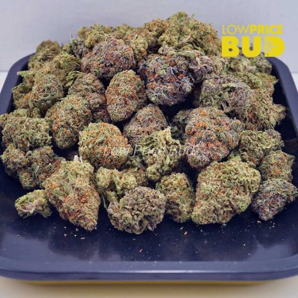 Buy Juicy Fruit (AAAA) online Canada