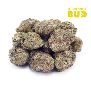 Buy Big Buddha Cheese (AAA) online Canada