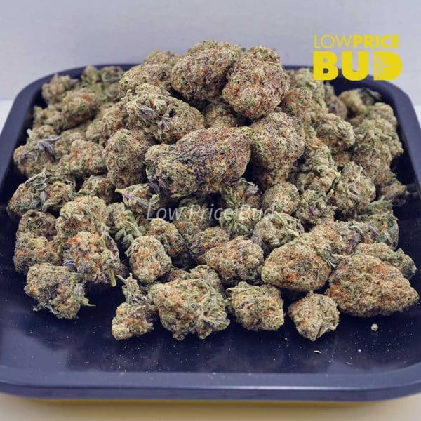 Buy Big Buddha Cheese (AAA) online Canada