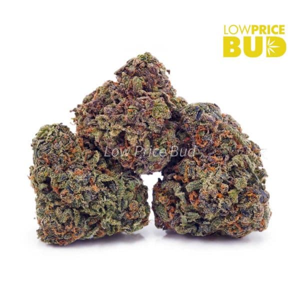 Buy Silver Haze (AAA) online Canada