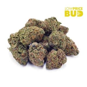 Buy Silver Haze (AAA) online Canada
