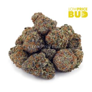 Buy Amnesia Haze (AAAA) online Canada