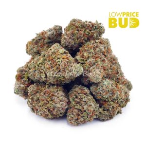 Buy Banana Cream Pie (AAA) online Canada