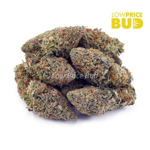 Buy Rockstar (AAA) online Canada