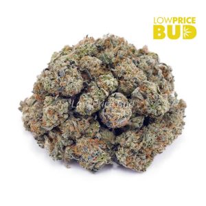 Buy Monster Cookies (AAAA) – Popcorn Nugs online Canada