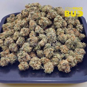 Buy Monster Cookies (AAAA) – Popcorn Nugs online Canada