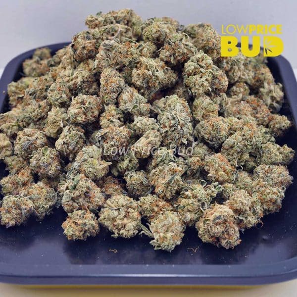 Buy Monster Cookies (AAAA) – Popcorn Nugs online Canada
