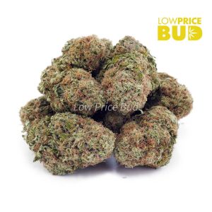 Buy White Skunk (AAA) online Canada